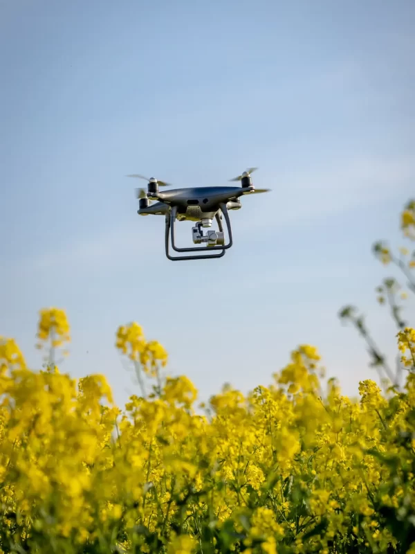 Drone Flying in a Field